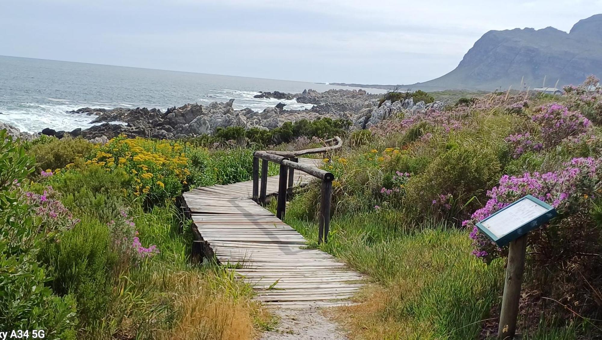 Kleinmond Panorama Holidays エクステリア 写真